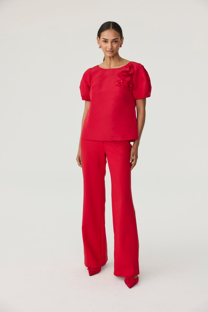 Lantern Sleeve Blouse