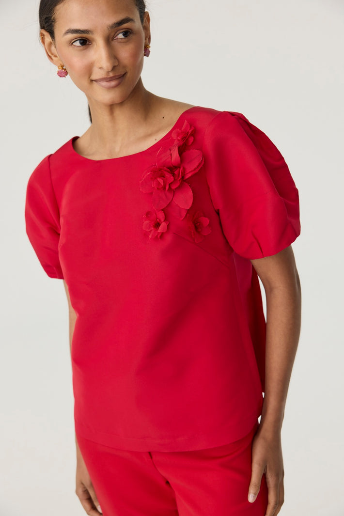 Lantern Sleeve Blouse