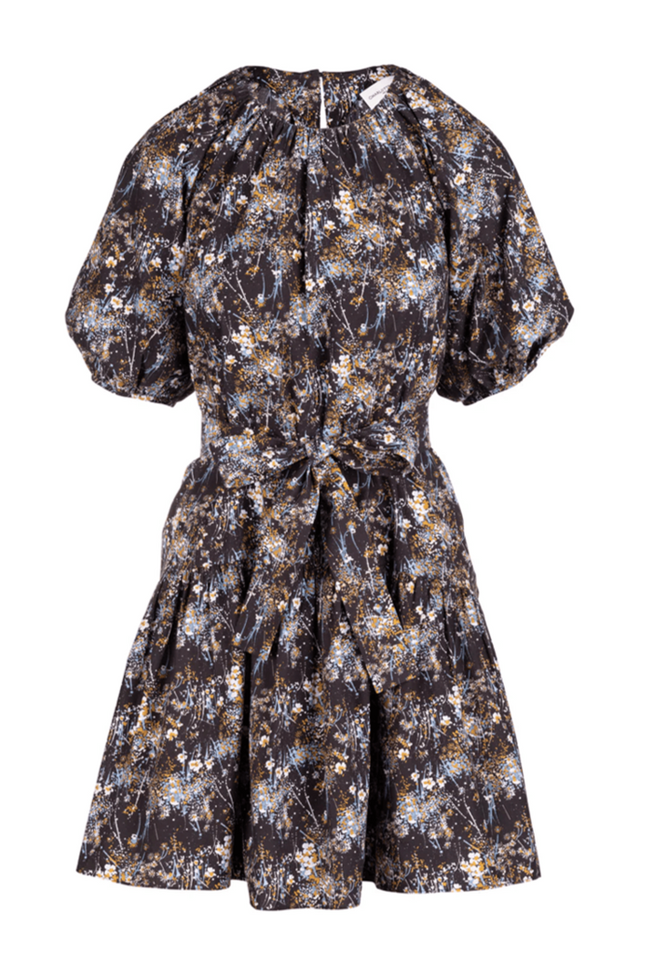 Mayapple Dress - Denim Bursting Blooms